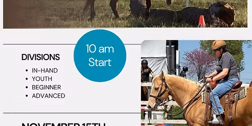 Obstacle Competition