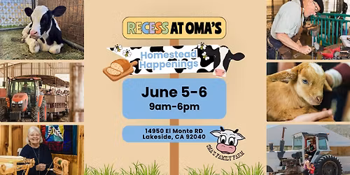 Homestead Happenings (Recess at Oma's)