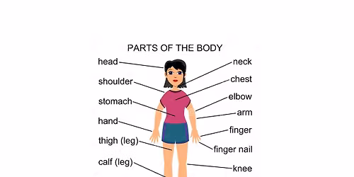 Theme:  Parts of the Body