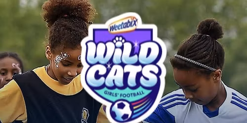Wildcats festival at the County Ground 