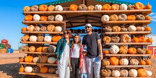 FALL FUN at MAXWELLS PUMPKIN FARM