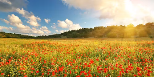 Great Barr Remembrance Sunday service and parade