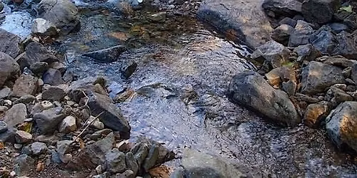 Accessible Adventures: Quiet Sounds of Natural History