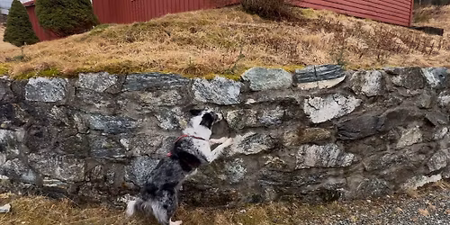 \u00c5rstidmerke - V\u00e5r