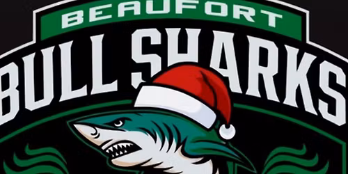 \ud83c\udf84 Bull Sharks \u201cLight the Night\u201d Holiday Event \ud83c\udf84