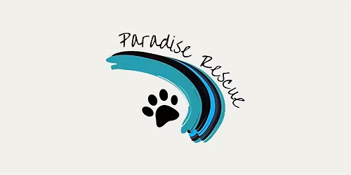 Mutt Meetup: Paradise Rescue Pups