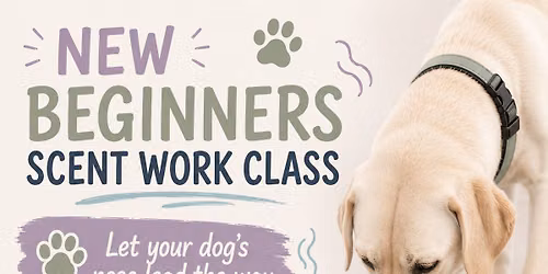 Beginners Scentwork
