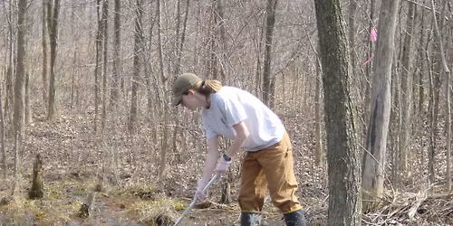 Turtle Steward Training\/Kick-off