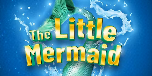 Little Mermaid the panto 