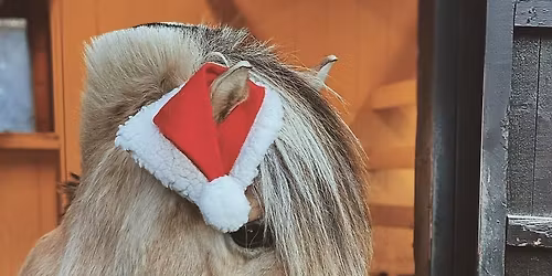 Juleg\u00e5rd p\u00e5 Kampen g\u00e5rd 