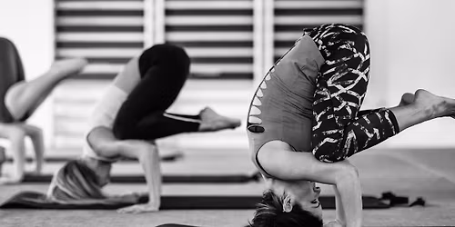 Peak Pose and Play Time: Forearm Stand and Headstand