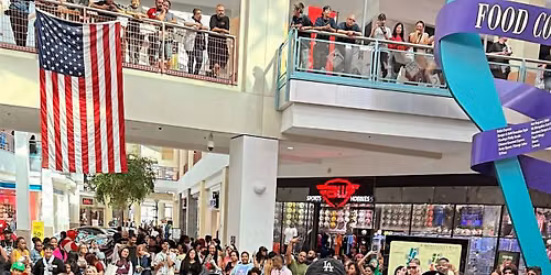 Nerdz & Hip Hop Mini Con Moreno Valley Mall Aug. 15th & 16th (FREE EVENT)