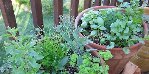 Container Gardening