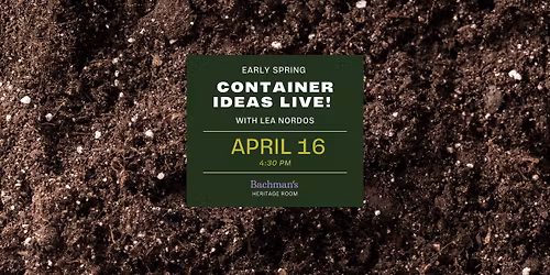 Container Ideas LIVE!