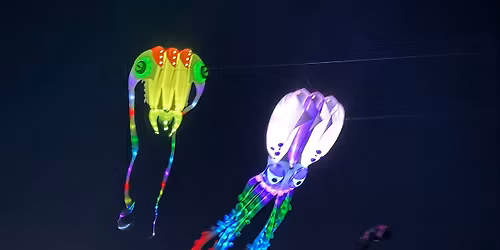 Surfside Beach Christmas Season Night Fly