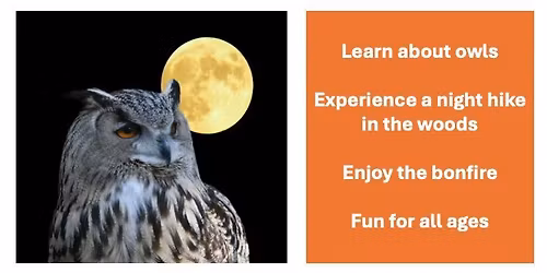 Owl Prowl
