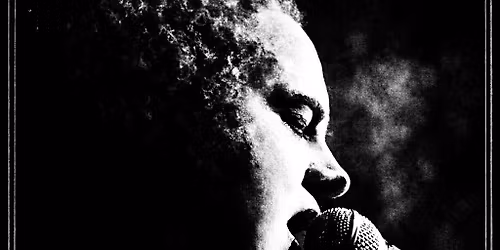 Live Singer - The Toonster