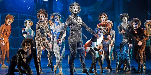 Cats - The Musical