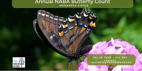 NABA Butterfly Count