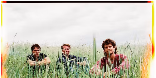 The Moss at HI-FI