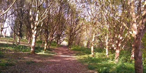 Cleanup of polystyrene pellets behind football ground