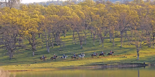 Woodland FEI endurance race