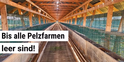 WIEN - VGT-Anti-Pelzdemo! Bis alle Pelzfarmen leer sind!
