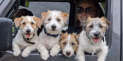 Free Pet Vaccine Clinic