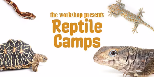 Reptile Summer Camps