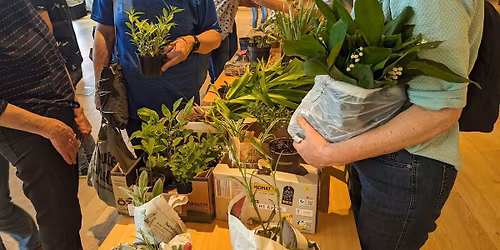 TauschBar \u2013 Pflanzen