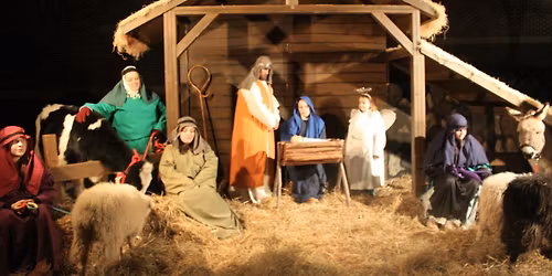 Nativity 2025