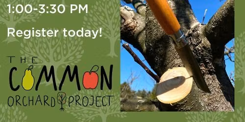 Fruit Tree Grafting Workshop