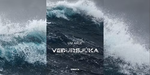 Lesiringurin hittist vi\u00f0 L\u00f8kin