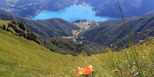 Lago di Ledro, la meraviglia delle praterie fiorite di Cima Oro
