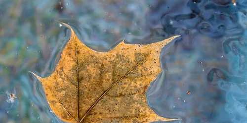 Spiritualities of Resilience: Aligning with Earth