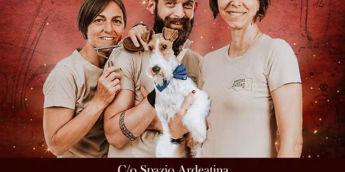 MASTERS OF STRIPPING LIVE ROMA