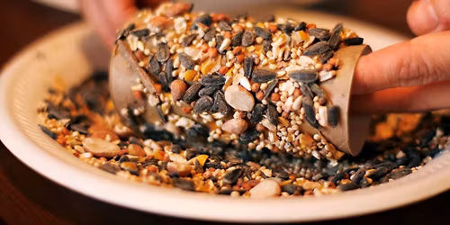 Summer STEAM: Paper Tube Bird Feeder
