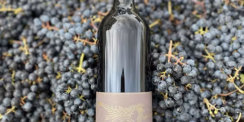 Kinhaven Winery Pop-Up