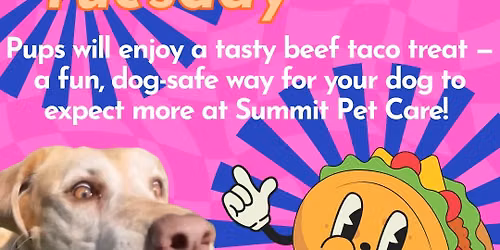 Taco Tuesday at Summit Pet Care! 