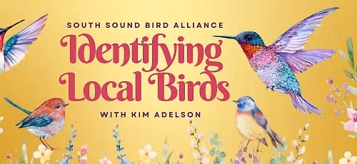 Identifying Local Birds with Kim Adelson