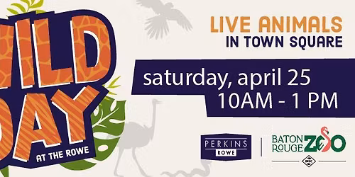 Wild Day at the Rowe