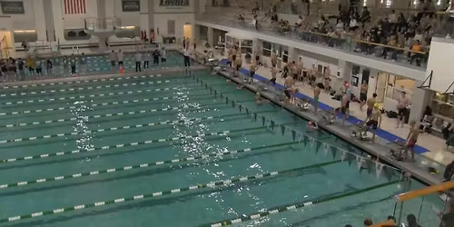 Loyola Maryland Greyhounds at Towson Tigers Womens Basketball