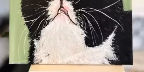 Paint Your Pet - \ud83d\udc08 International Cat Day