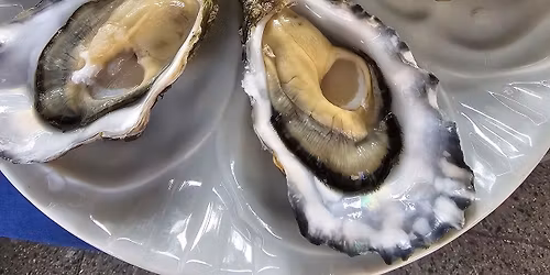 Oystersunday 7\/6 last one before summer break!!!