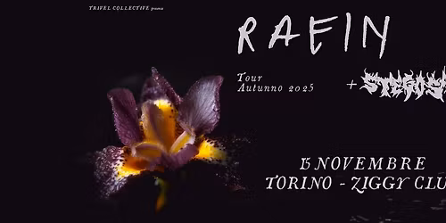 RAEIN + STEGOSAURO @ ZIGGY CLUB, TORINO \/\/ 15.11.2025