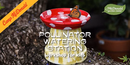 Pollinator Watering Station Workshop for Kids