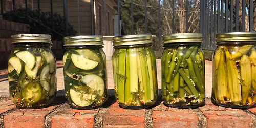 PICKLES! @Sheila Fest