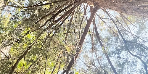Art for All, \u201cPerspective from Below\u201d Manifestation