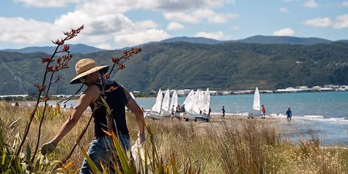 Petone Beach Clean-Up and Survey