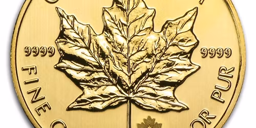 Beautiful Gems In Frisco Heights 